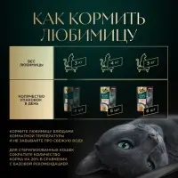 Влажный корм Sheba &laquo;Суп Коллекция&raquo; для взрослых кошек, суп, форель, 70 г