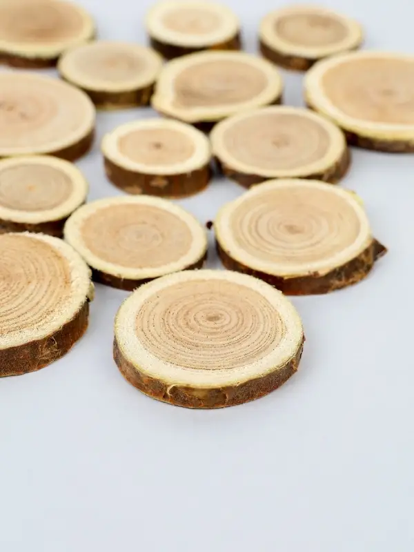 Декор &laquo;Спилы&raquo;, размеры МИКС, возможные размеры спилов: от 2 до 14 см