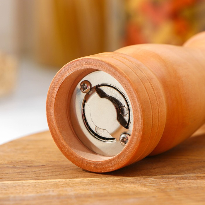 Мельница для специй Доляна, 17×4,5 см, металлический механизм, цвет светлое дерево Мельница для специй Доляна, 17×4,5 см, металлический механизм, цвет светлое дерево