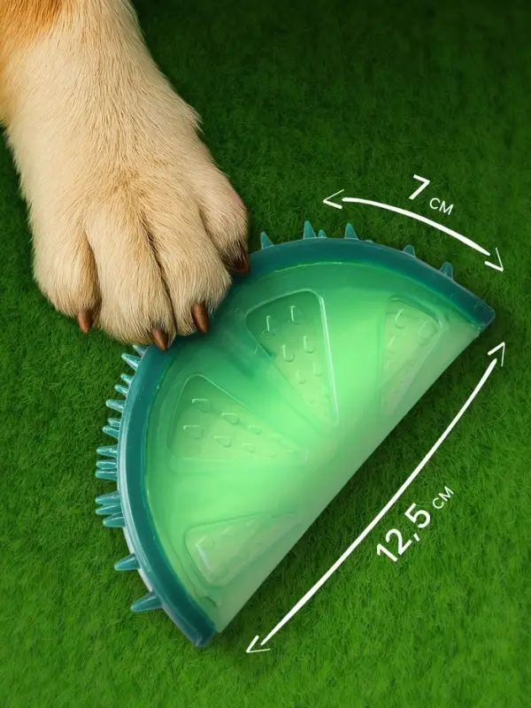 Игрушка охлаждающая для собак &laquo;Лайм&raquo;, 12.5 см, TPR