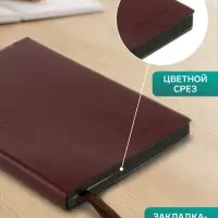 Ежедневник недатированный А5, 116 листов в клетку, тонированный срез, обложка ЛАЙТ, МИКС