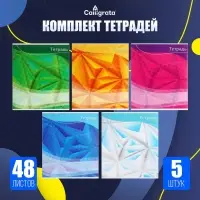 Тетради 5 штук, 48 листов в линию Calligrata &laquo;Графика-2&raquo;, обложка мелованный картон, блок №2, белизна 75% (серые листы)