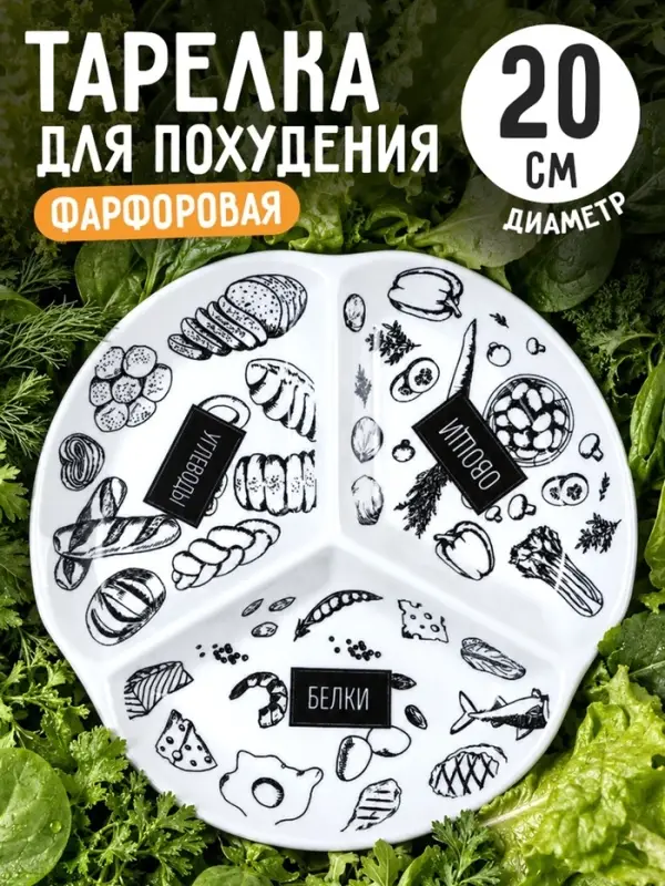 Тарелка керамическая секционная, для похудения &laquo;ПП&raquo;, 19 см