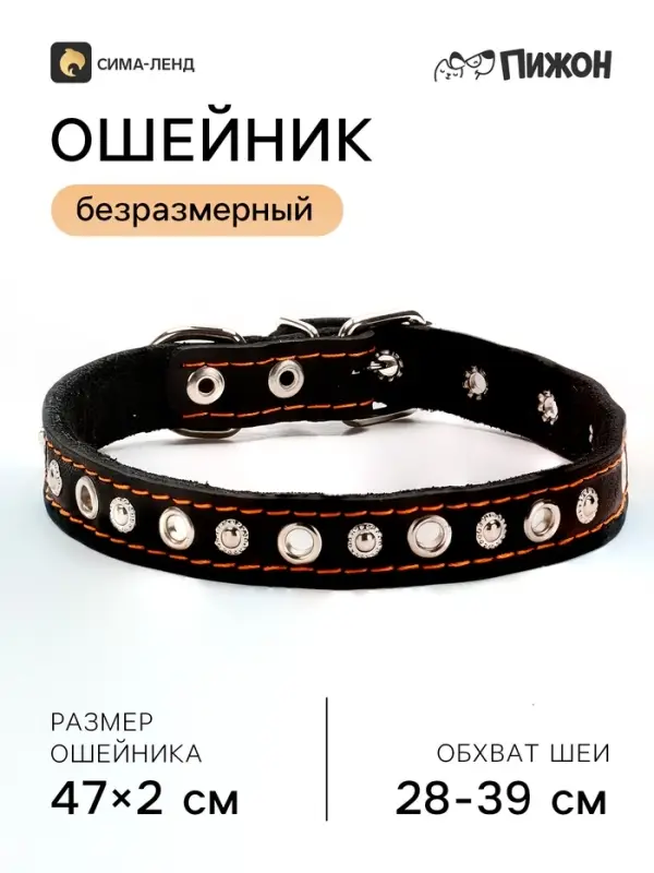 Ошейник украшенный, безразмерный, 47&times;2 см, ОШ 28-39 см, на синтепоне, кожа, чёрный