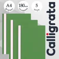 Набор папок-скоросшивателей А4, 5 штук, Calligrata, 180 мкм, с прозрачным верхом, зелёный
