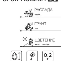 Семена цветов Астра &laquo;Монпансье&raquo;, серебристая, 0.2 г, однолетник, &laquo;Аэлита&raquo;