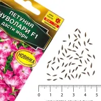 Семена цветов Петуния &laquo;Нуволари&raquo; F1, дасти морн, полуампельная, 5 шт.