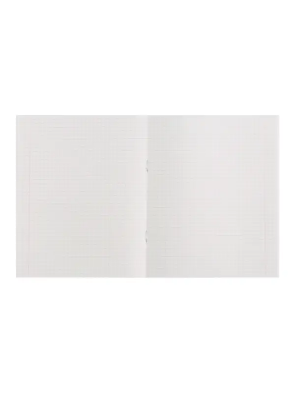 Набор тетрадей, 48 листов в клетку, Calligrata Black and White, серые листы, 4 штуки