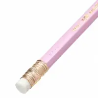 Карандаши чернографитные BIC HB Evolution &laquo;Пастель&raquo;, набор 5 штук, пластиковые, с ластиками