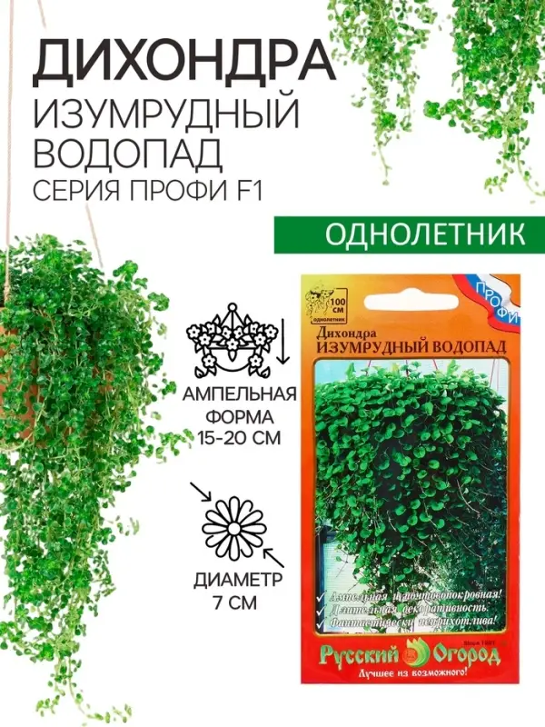 Семена цветов Дихондра  Семена цветов Дихондра "Изумрудный водопад", серия "Профи", F1, О, 10 шт.