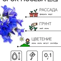 Семена цветов Лобелия "Император Вильям", 0,1 г