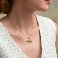 Кулон на цепочке &laquo;Дельфины в паре&raquo;, МИКС, L=40 см