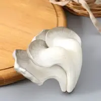 Муляж "Грибы вешенки" 14х10,5 см, бело-серый