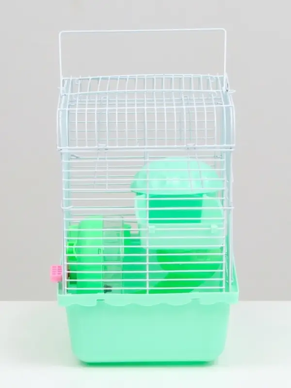 Клетка для грызунов &laquo;Пижон&raquo;, 23&times;17&times;26 см, эмаль, зелёная