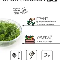 Семена Укроп "Грибовский", 2 г