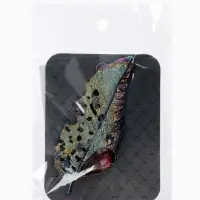 Брошь &laquo;Лист&raquo;, изящный, цветной