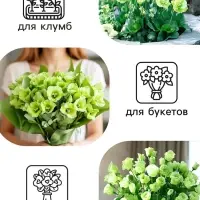 Семена цветов Лизиантус F1 &laquo;Эйбиси&raquo;, зеленая, 5 шт., &laquo;Дом семян&raquo;