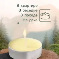 Набор свечей ароматических чайных, антимоскитные, 10 шт.
