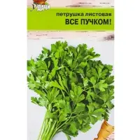 Семена Петрушка листовая &laquo;ВСЁ ПУЧКОМ&raquo;, &laquo;Урожай Удачи&raquo;