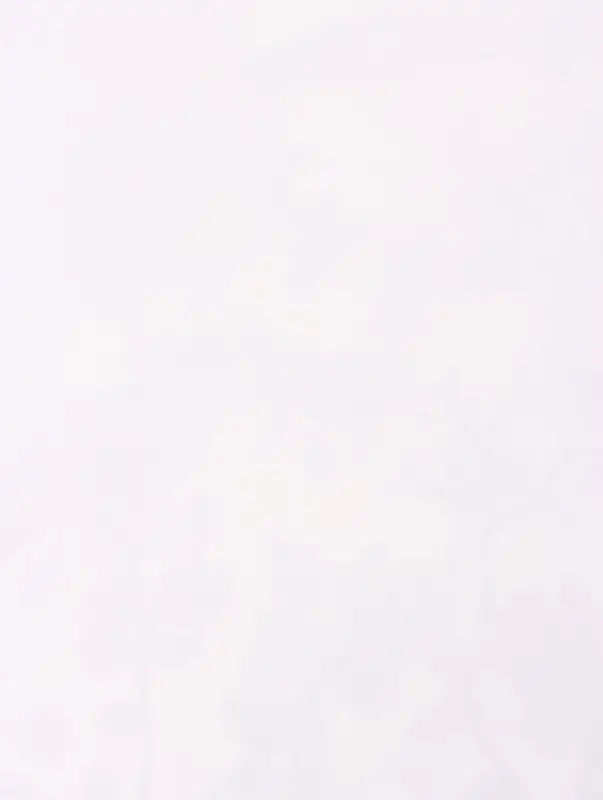 Пленка для цветов, &laquo;Весенний сад&raquo;, бело-синий, 57&times;57 см