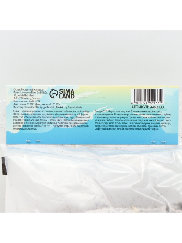 Лилия Азиатская Кашпо Happy Snow, луковица в пакете с перфорацией, р-р 12/14, 2 шт.