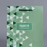 Пакет подарочный ламинированный "Радости и позитива" 18 х 22,3 х 10 см