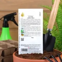 Семена Кабачок &laquo;Заячье ушко&raquo;, 10 шт., &laquo;Дом семян&raquo;