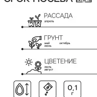 Семена Лихнис "Зорька", ц/п,  0,1 г