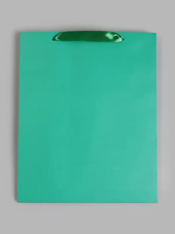 Пакет подарочный ламинированный &laquo;Зелёный&raquo;, 26&times;32&times;12 см