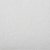 Полотенца бумажные д/дисп. Luscan Professional M-слож2слбелвтор150л21пач/уп