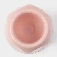 Ёршик для унитаза &laquo;Блеск. Стандарт&raquo;, 15&times;15&times;39 см, с подставкой, розовый