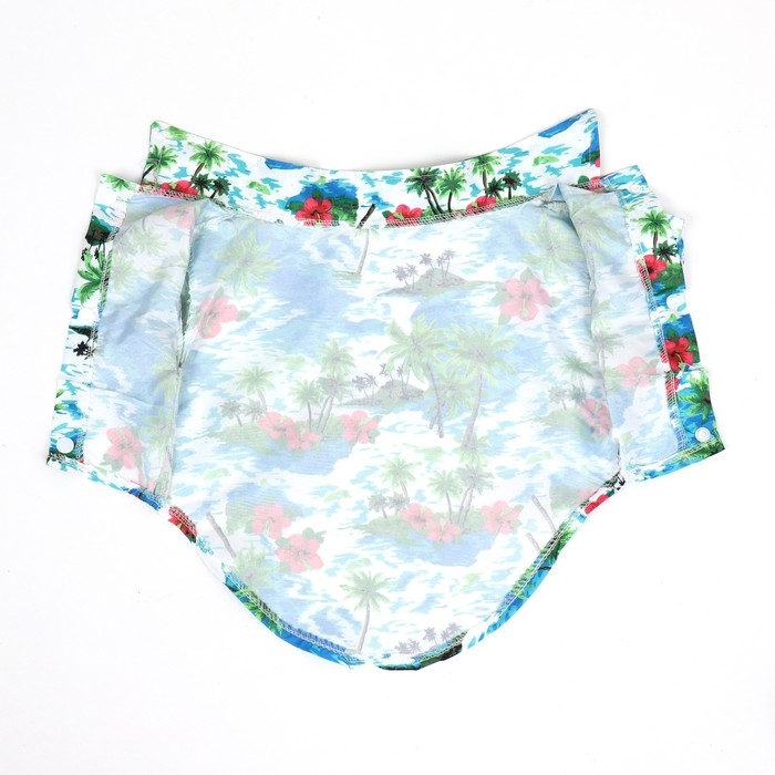 Рубашка для собак  Рубашка для собак "Тропики", M (ДС 26, ОГ 34, ОШ 25 см), голубая