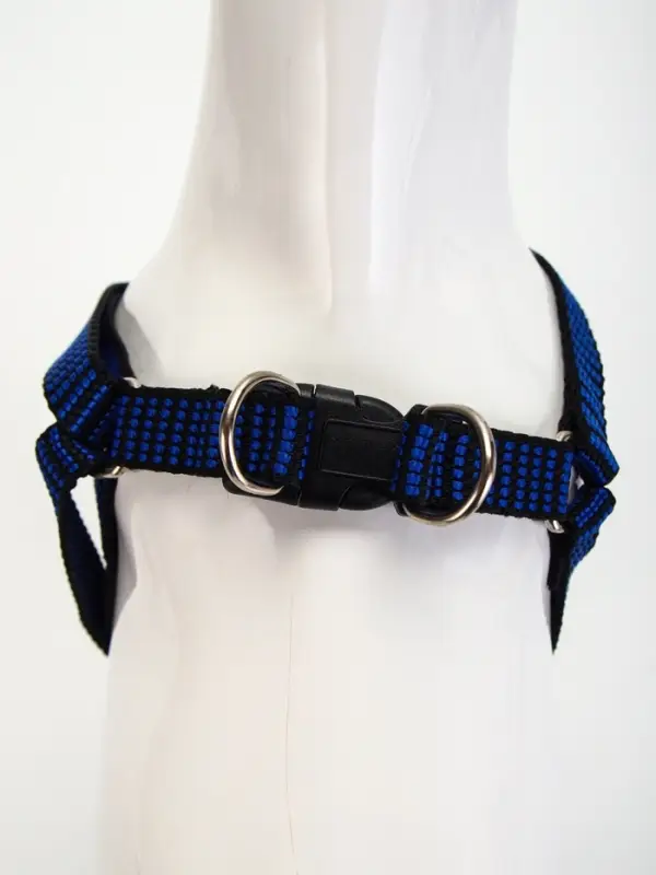 Шлейка с поводком, ОГ 36-49 см, ширина 1.5 см, поводок 120 см, рельефная, сине-чёрная