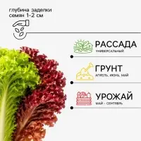 Семена Салат листовой &laquo;Весёлая грядка&raquo;, смесь, 0.5 г, &laquo;Аэлита&raquo;