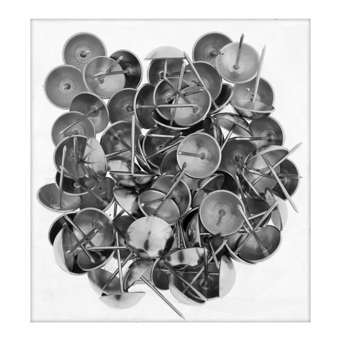 Гвозди ТУНДРА, декоративные, обивочные, 25х39 мм, хром, 100 шт Гвозди ТУНДРА, декоративные, обивочные, 25х39 мм, хром, 100 шт