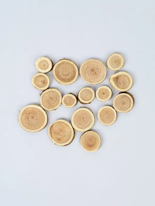 Декор &laquo;Спилы&raquo;, размеры МИКС, возможные размеры спилов: от 2 до 14 см