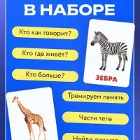 Магнитные карточки по методике Домана «Животные», 32 карты, 3+ Магнитные карточки по методике Домана «Животные», 32 карты, 3+