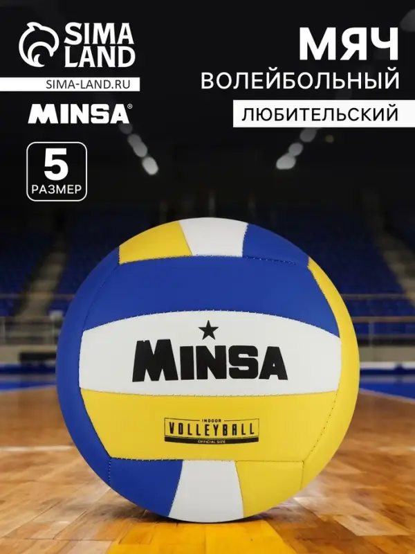 Волейбольный мяч MINSA, машинная сшивка, 18 панелей, р. 5, PVC