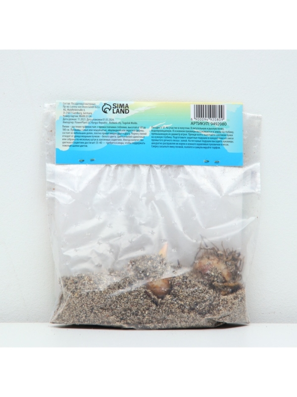 Лилия АОА гибрид November Rain, луковица в пакете с перфорацией, р-р 12/14, 2 шт.