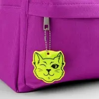 Светоотражающий элемент «Кот хитрец», двусторонний, 6×5.9 см, МИКС