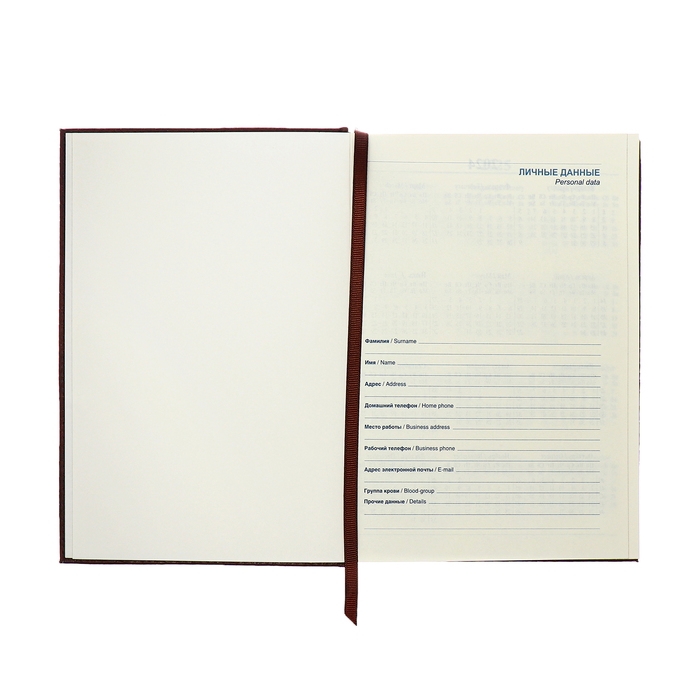 Ежедневник полудатированный, А5, 192 листа, линейка, обложка кожзам, золотой срез,  Ежедневник полудатированный, А5, 192 листа, линейка, обложка кожзам, золотой срез, "Крокодил", коричневый