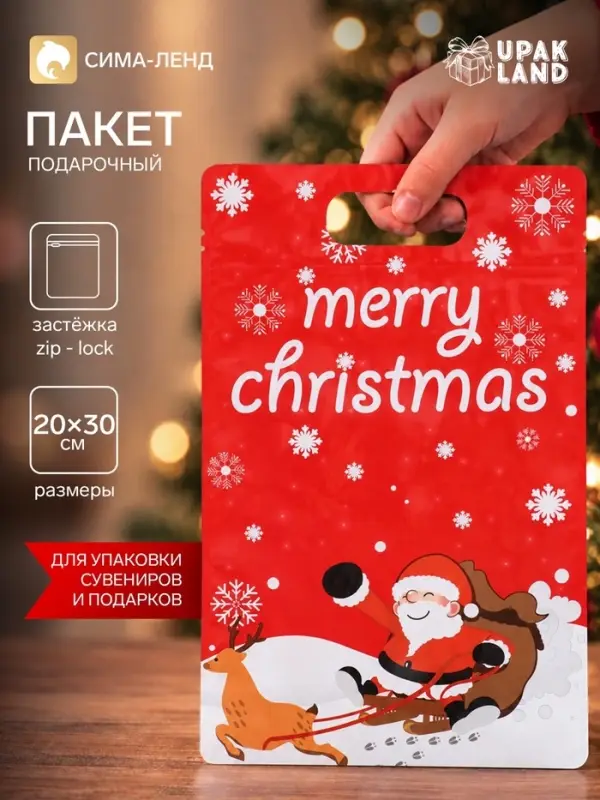 Пакет подарочный новогодний, &laquo;С новым годом!&raquo;, с zip-lock застежкой, 20&times;30+4.5 см