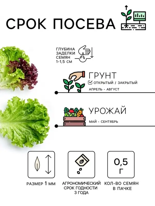 Семена Салат &laquo;Лолло микс&raquo;, смесь, 0.5 г, &laquo;Рецепты дедушки Никиты&raquo;