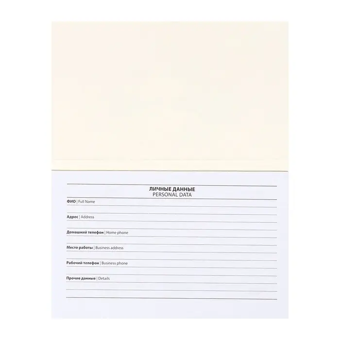 Планинг недатированный A6, с открывными листами, 50 листов, на склейке, мягкая обложка, Планер трудоголика