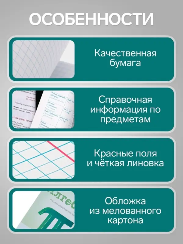 Предметная тетрадь по алгебре Calligrata &laquo;Предметы&raquo;, 36 листов, в клетку, со справочным материалом, обложка из мелованного картона