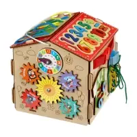 Бизидом развивающий БД15