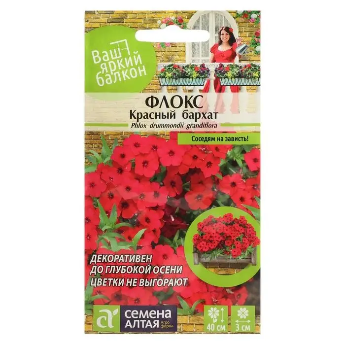 Семена цветов Флокс "Красный Бархат", Друммонда, Сем. Алт, ц/п, 0,1 г Семена цветов Флокс "Красный Бархат", Друммонда, Сем. Алт, ц/п, 0,1 г