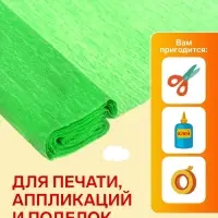 Бумага крепированная 50&times;200 см, в рулоне, 32 г/м&sup2;, светло-зелёная