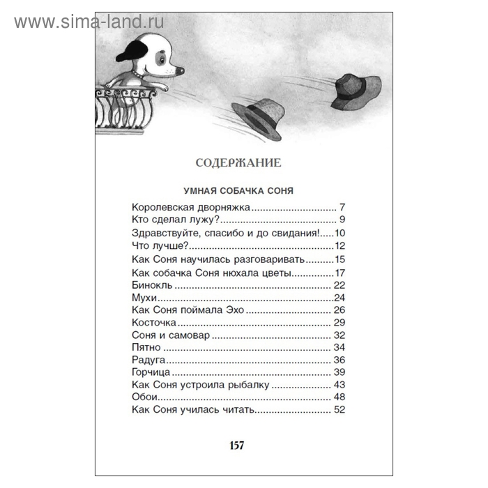 Внеклассное чтение «Умная и знаменитая собачка Соня», Усачев А. Внеклассное чтение «Умная и знаменитая собачка Соня», Усачев А.