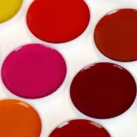 Акварель &laquo;Луч. ZOO&raquo;, 24 цвета, без кисти